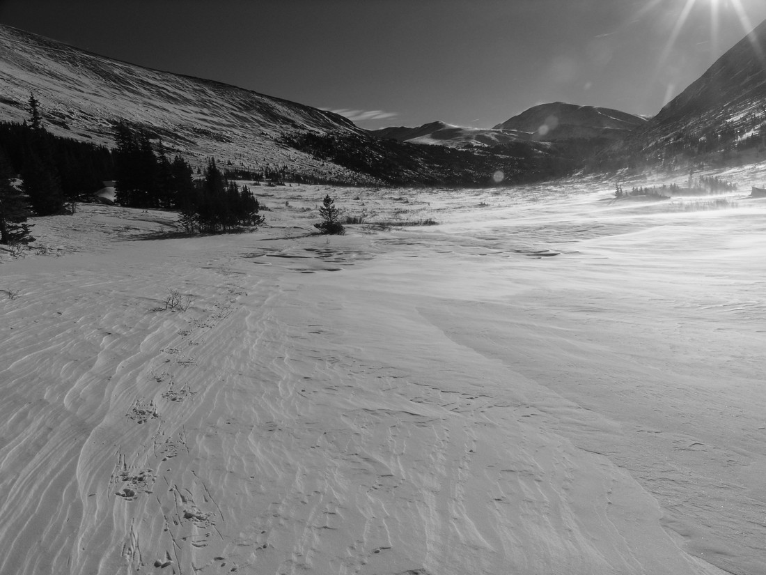 Tracks to Silverheels